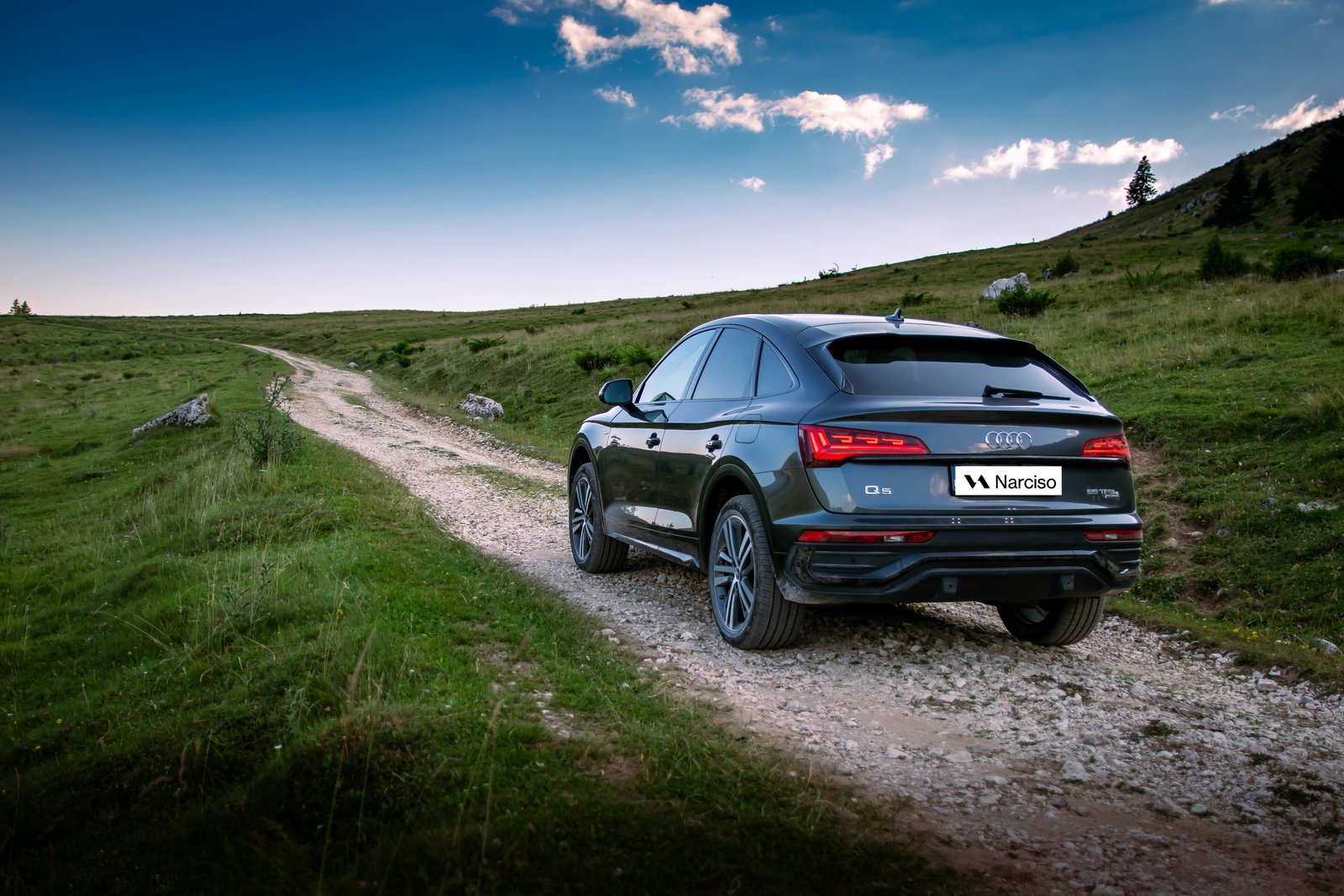 Audi Q5 Sportback grigia — vista posteriore in natura